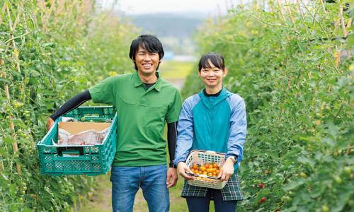 Nhà tuyển dụng Nông nghiệp tìm kiếm điều gì trong một bản CV?
