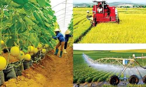 Cơ hội việc làm Nông Nghiệp 2026: Công Ty TM Sinh Thái An Phú tuyển dụng mới nhất