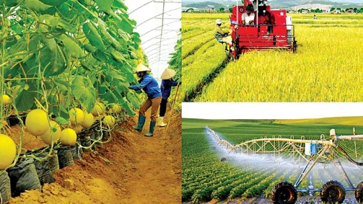 Cơ hội việc làm Nông Nghiệp 2026: Công Ty TM Sinh Thái An Phú tuyển dụng mới nhất