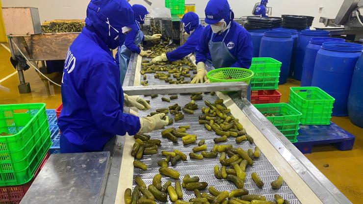 Kiến Tạo Giá Trị Nông Sản Việt Cùng Thực Phẩm GOC – Cơ Hội Nghề Nghiệp 2026 Tại AgJob.vn