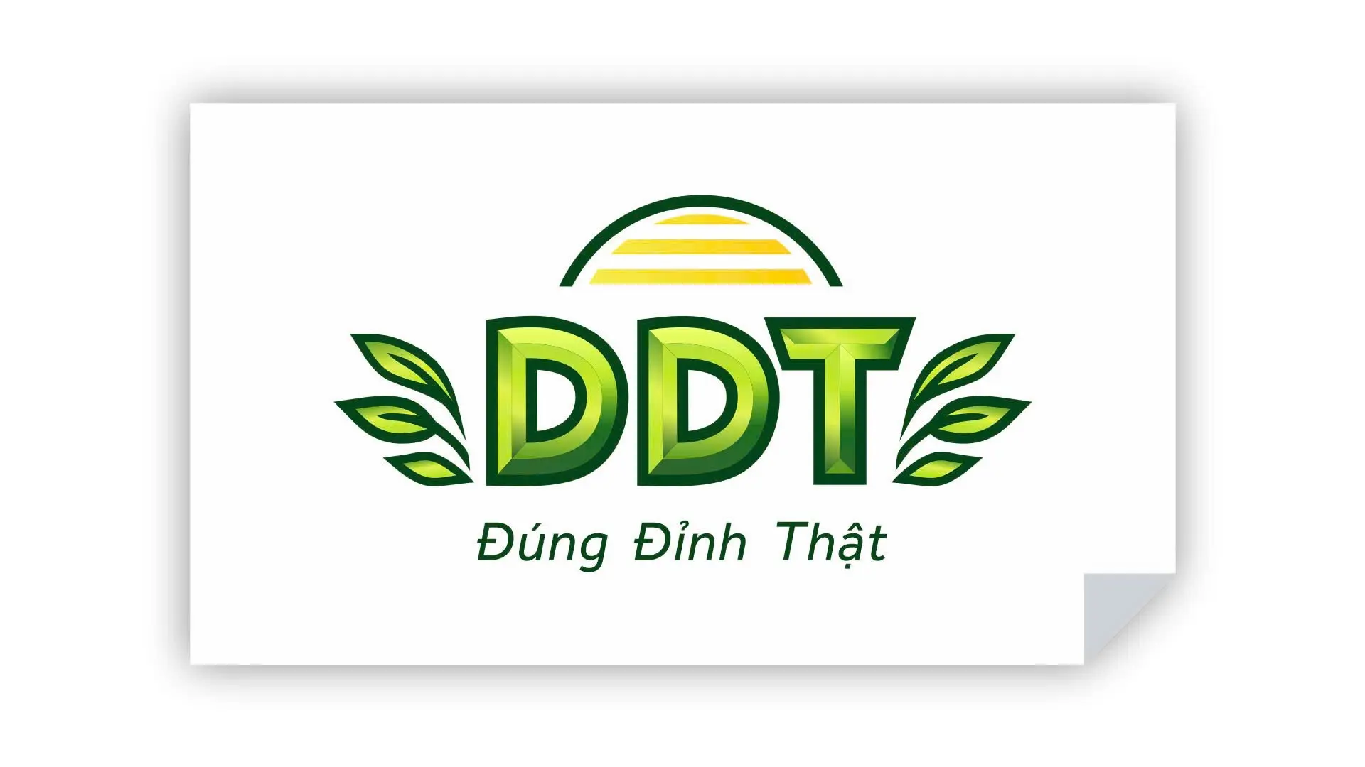 Công ty CP Hóa Sinh DDT tuyển dụng