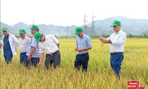 Cơ hội việc làm tại Hà Nội: Công ty Công nghệ Xanh Thành Châu tuyển dụng mới nhất trên Agjob