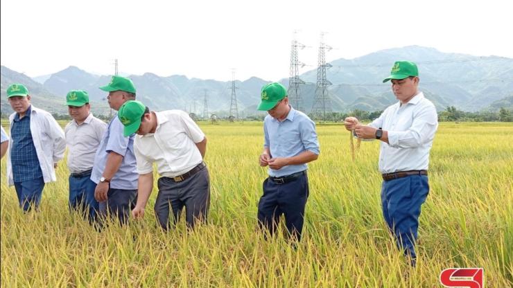 Cơ hội việc làm tại Hà Nội: Công ty Công nghệ Xanh Thành Châu tuyển dụng mới nhất trên Agjob
