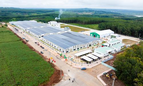 Cơ Hội Nghề Nghiệp Ngành Nông Sản 2026: Nông Sản Sao Mai Tuyển Dụng Thu Nhập Cao Tại AgJob.vn