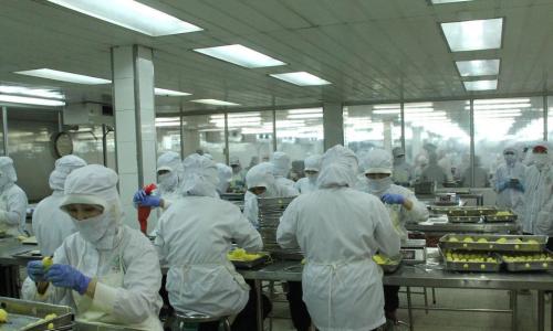 Agrex Sài Gòn tuyển dụng 2026: Cơ hội phát triển sự nghiệp ngành chế biến thực phẩm xuất khẩu