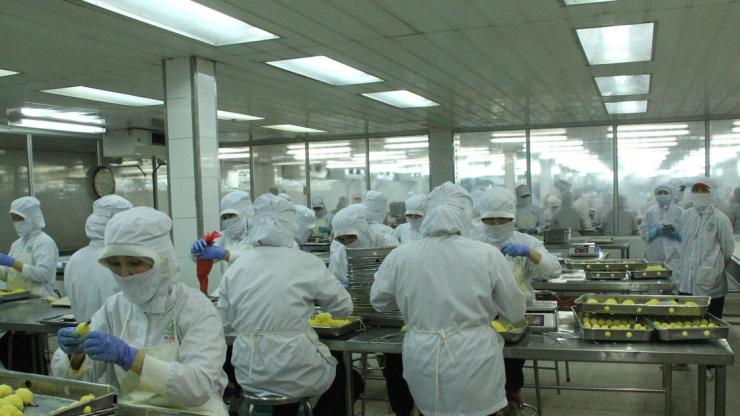Agrex Sài Gòn tuyển dụng 2026: Cơ hội phát triển sự nghiệp ngành chế biến thực phẩm xuất khẩu
