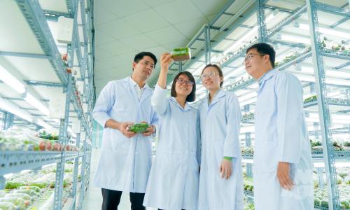 Nông Nghiệp 2026 - Đường đua thu nhập "Khủng" cho Nhân sự cấp cao