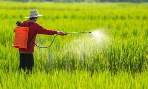 Khẳng Định Năng Lực Tại Hóa Chất Shanghai: Top Vị Trí Tuyển Dụng Mới Nhất Trên AgJob.vn