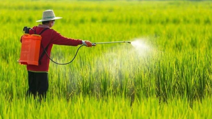 Khẳng Định Năng Lực Tại Hóa Chất Shanghai: Top Vị Trí Tuyển Dụng Mới Nhất Trên AgJob.vn