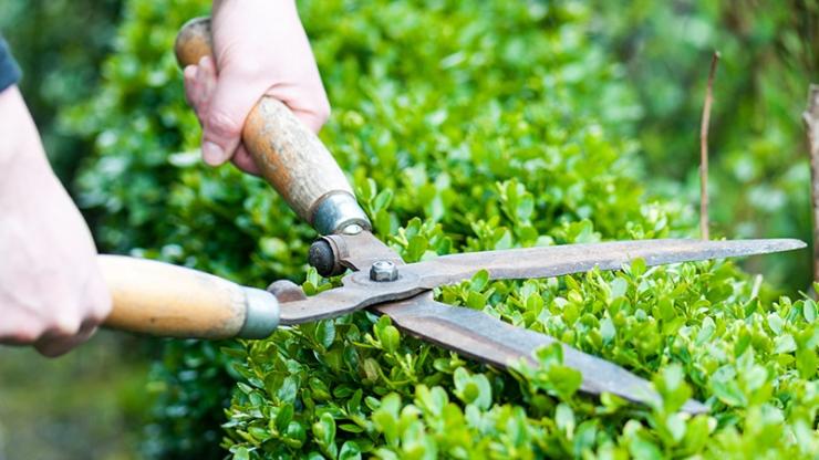 B&J Việt Đức tuyển dụng 2026: Cơ hội phát triển sự nghiệp cùng tổng thầu uy tín