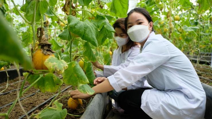 Học ngành Nông nghiệp ra làm gì? Cơ hội việc làm và mức lương mới nhất