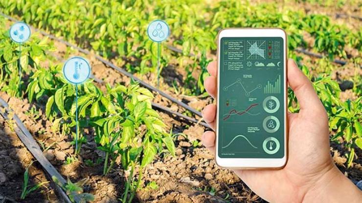 Cơ hội việc làm Nông Nghiệp tại Lâm Đồng 2026: Công ty Cổ Phần Công Nghệ Tưới Khang Thịnh tuyển dụng