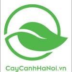 Công ty Cây Cảnh Hà Nội tuyển dụng
