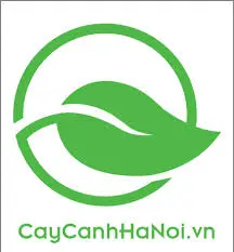 Công ty Cây Cảnh Hà Nội tuyển dụng