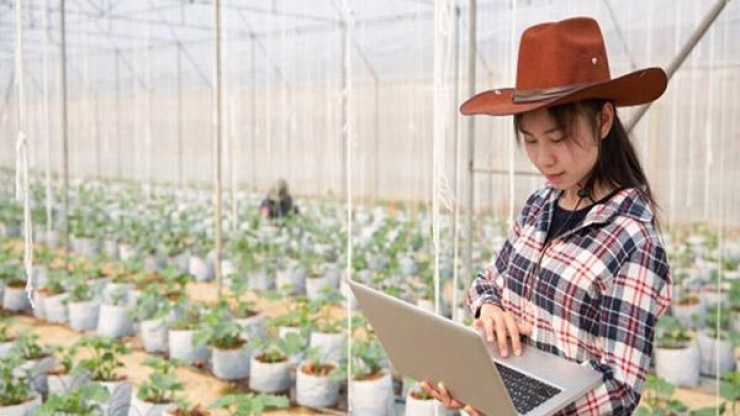 Kỹ sư Nông nghiệp thời công nghệ cao: Xóa bỏ định kiến "chân lấm tay bùn"
