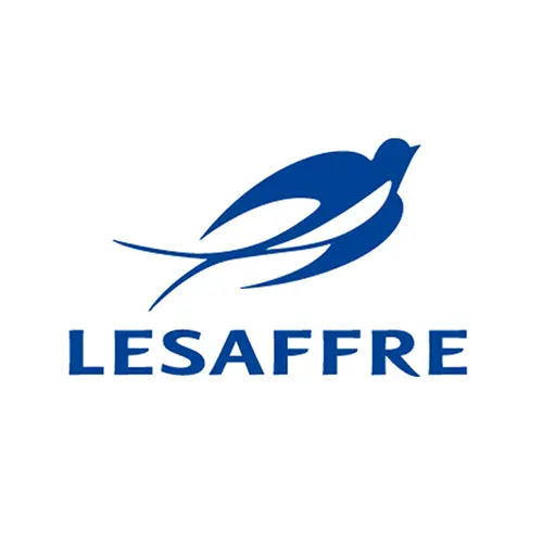 Saf Viet - JV Between French And Vietnam