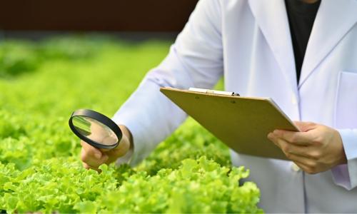 Kỹ sư nông nghiệp làm gì? Mức lương và cơ hội việc làm kỹ sư nông nghiệp mới nhất 2025