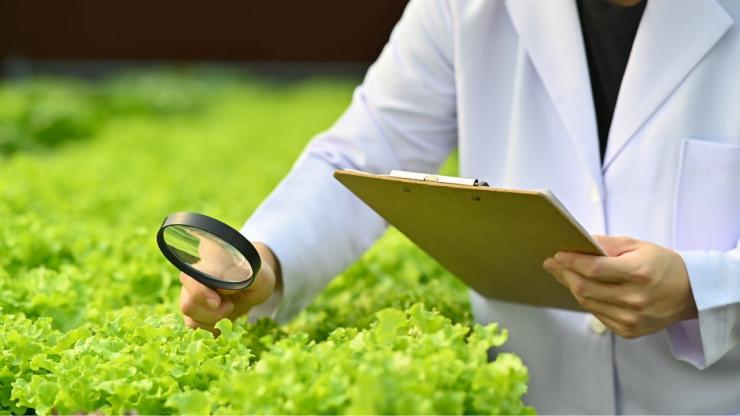 Kỹ sư nông nghiệp làm gì? Mức lương và cơ hội việc làm kỹ sư nông nghiệp mới nhất 2025