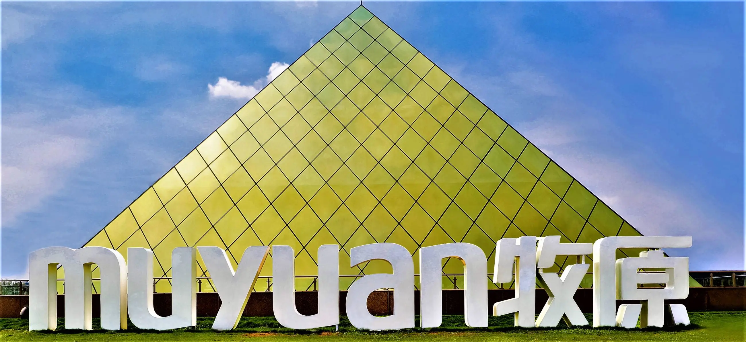 muyuan-foods-2.webp