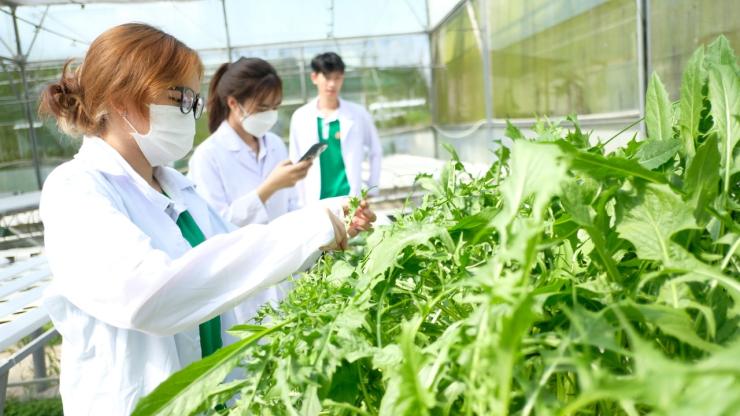 Sinh viên ngành nông nghiệp mới ra trường: Làm sao để có một hồ sơ thực tập thực địa ấn tượng?