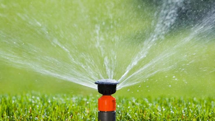 Nhà Bè Agri Tuyển dụng kế toán tổng hợp