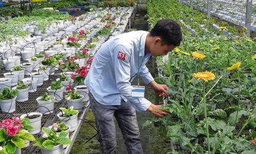 Gia Nhập Đội Ngũ Chuyên Gia Khang Thịnh Netafim - Lâm Đồng 2026 - Kết Nối Cơ Hội Tại Agjob.vn