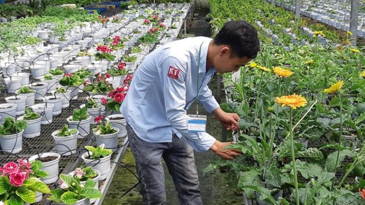 Gia Nhập Đội Ngũ Chuyên Gia Khang Thịnh Netafim - Lâm Đồng 2026 - Kết Nối Cơ Hội Tại Agjob.vn