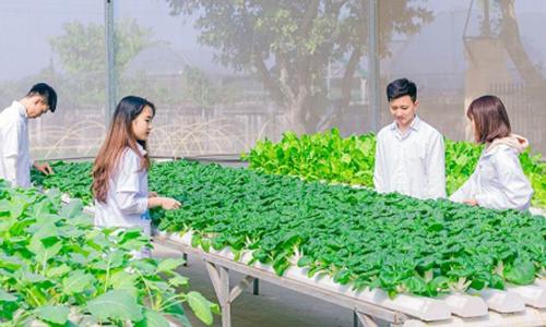 Top 5 vị trí khát nhân lực thu nhập cao ngành Nông nghiệp năm 2026