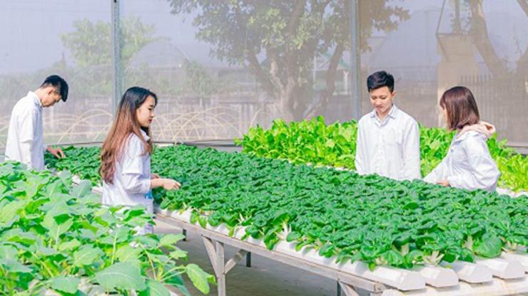 Top 5 vị trí khát nhân lực thu nhập cao ngành Nông nghiệp năm 2026