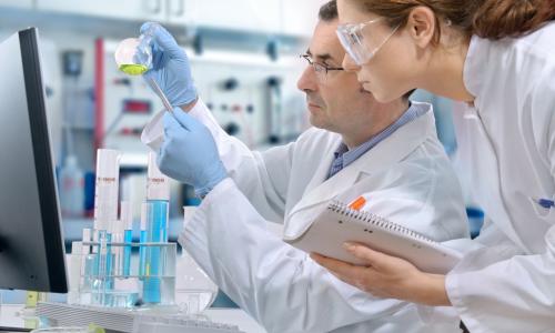 Đông Nam Dược Bảo Long tuyển dụng 2026: Cơ hội việc làm ngành Dược hấp dẫn