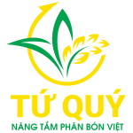 Công Ty TNHH Sản Xuất Thương Mại Tứ Quý