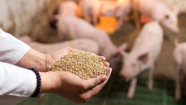Cơ hội việc làm tại Muyuan Việt Nam mới nhất - tuyển dụng nhiều vị trí, mức lương hấp dẫn