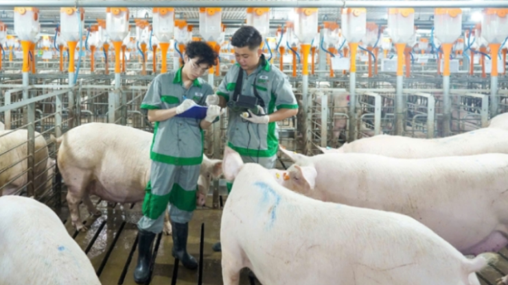 Xây Dựng Sự Nghiệp Bền Vững Cùng BaF Việt Nam – Ứng Tuyển Ngay Tại AgJob.vn