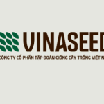 Công ty Cp Tập đoàn giống cây trồng Việt Nam - Vinaseed tuyển dụng