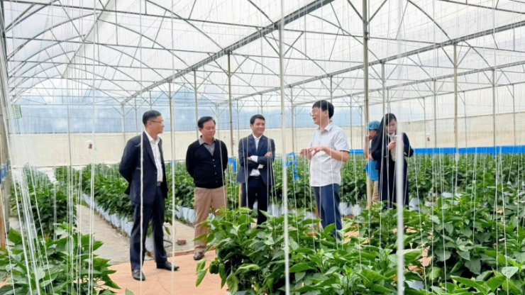 Việt Farm tuyển dụng 2026: Cơ hội nghề nghiệp tại thủ phủ nông nghiệp Đà Lạt