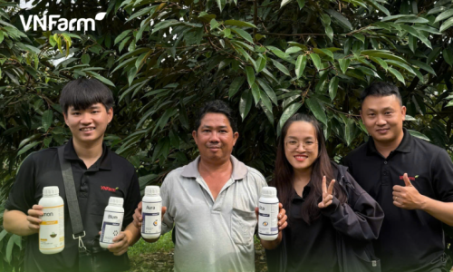 VNFarm tuyển dụng 2026: Cơ hội bứt phá thu nhập ngành Nông nghiệp sạch