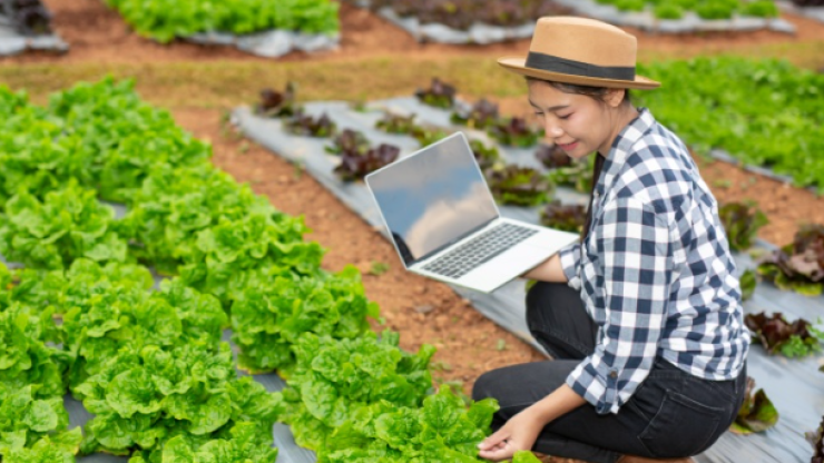 Tay ngang học Kinh tế/Kỹ thuật có làm được Nông nghiệp công nghệ cao?