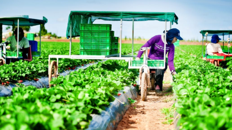Xu hướng ly hương làm việc tại các farm và nhà máy tỉnh lẻ: Được và mất gì?