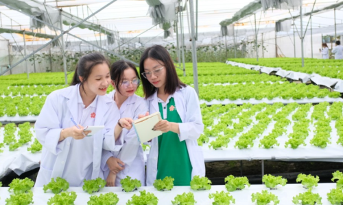 Những lỗi sai khiến CV ngành thực phẩm và nông nghiệp bị loại từ vòng hồ sơ