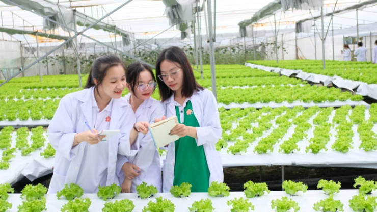 Những lỗi sai khiến CV ngành thực phẩm và nông nghiệp bị loại từ vòng hồ sơ