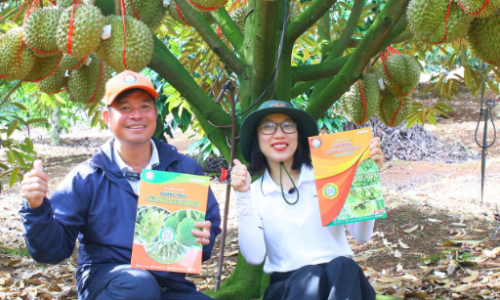 Công ty TNHH Đầu Tư 3 Tốt tuyển dụng 2026: Cơ hội bứt phá sự nghiệp cùng thương hiệu phân bón hữu cơ cao cấp