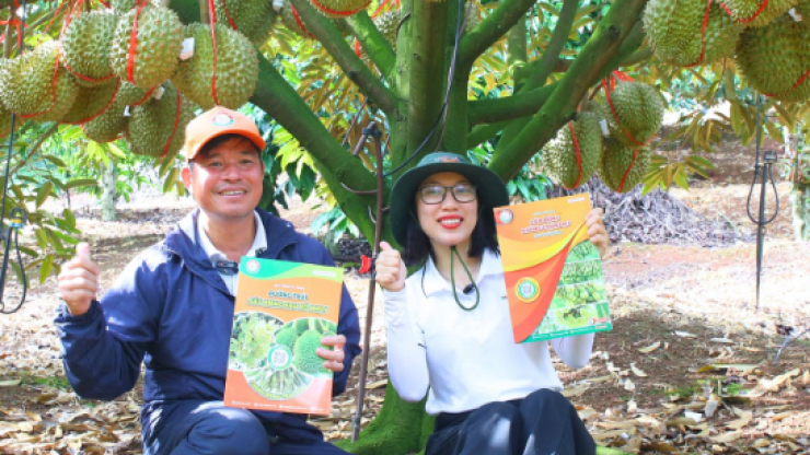 Công ty TNHH Đầu Tư 3 Tốt tuyển dụng 2026: Cơ hội bứt phá sự nghiệp cùng thương hiệu phân bón hữu cơ cao cấp