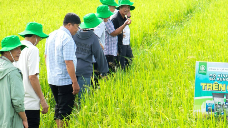 TTP Global tuyển dụng 2026: Cơ hội phát triển sự nghiệp cùng thương hiệu phân bón hữu cơ nhập khẩu Mỹ