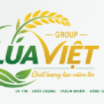 CÔNG TY TNHH VTNN LÚA VIỆT Tuyển dụng