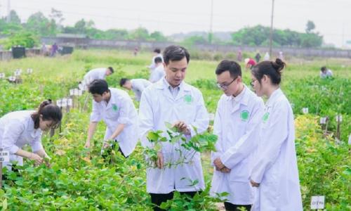 Chưa có kinh nghiệm thực tế: Làm sao để "lọt mắt xanh" các tập đoàn Nông nghiệp lớn?
