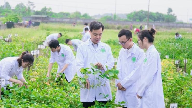 Chưa có kinh nghiệm thực tế: Làm sao để "lọt mắt xanh" các tập đoàn Nông nghiệp lớn?