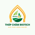 CÔNG TY TNHH THÁP CHÀM BIOTECH
