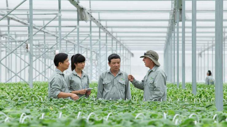 Thực trạng tuyển dụng kỹ sư nông nghiệp 2025: Những yêu cầu mới từ doanh nghiệp