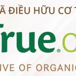 HTX Điều Hữu Cơ Truecoop tuyển dụng