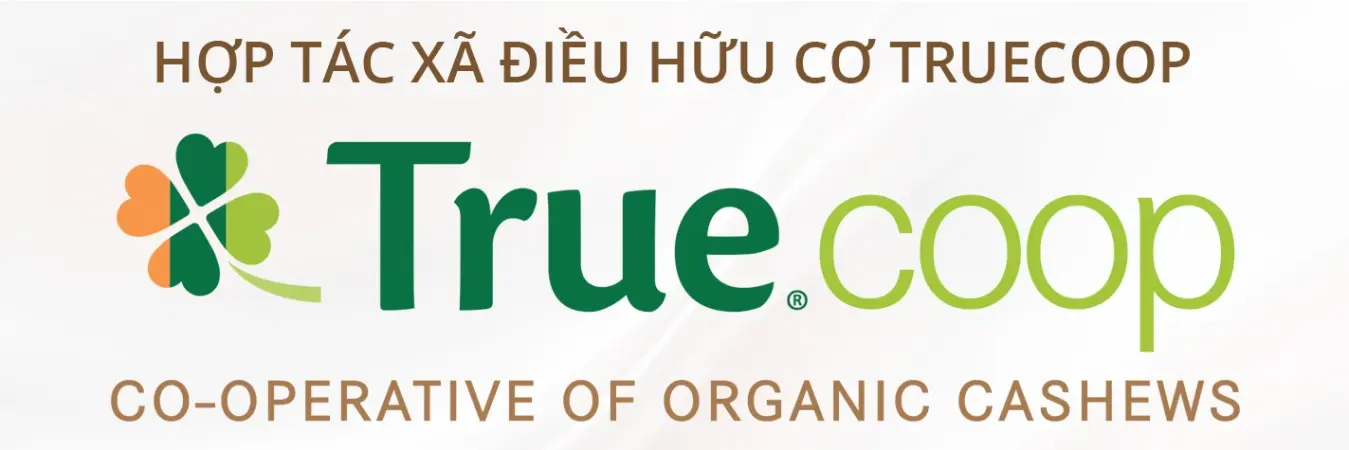 HTX Điều Hữu Cơ Truecoop tuyển dụng